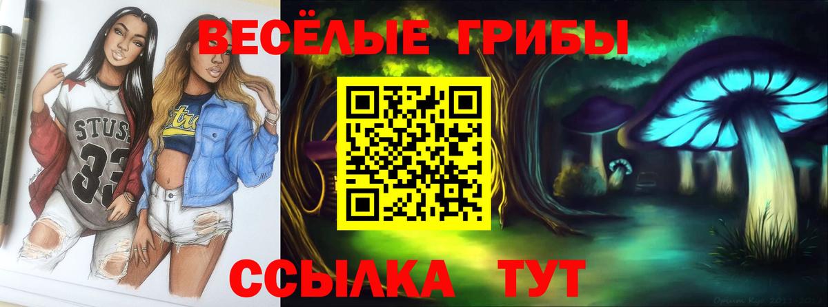 Псилоцибиновые грибы Psilocybine cubensis Анапа