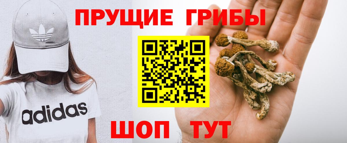 Галлюциногенные грибы прущие грибы  Вход с VPN  Галлюциногенные грибы Psilocybine cubensis  цена наркотик  Анапа 